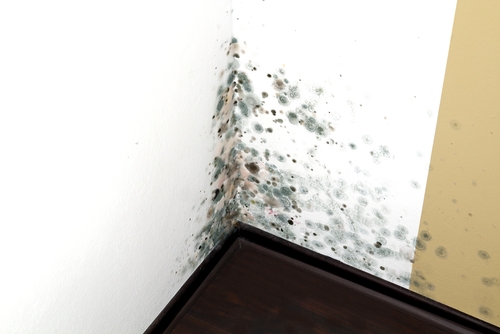Mold From Lack of Thermal Break Concrete Slab Solution