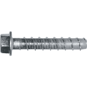 Screw Concrete Embed Anchor